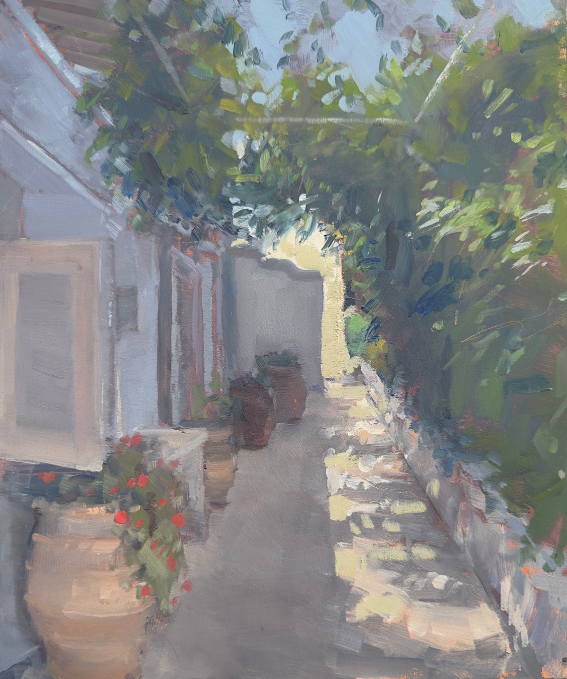 Terracotta pots in the shade