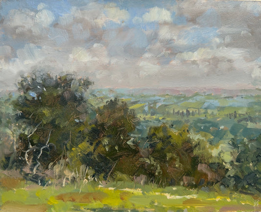 The side of the hill, mid summer