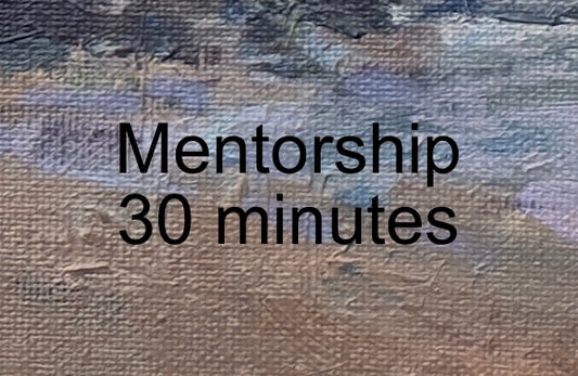 30 minute additional Mentorship Session
