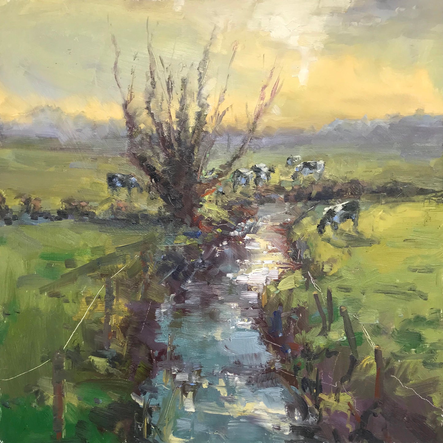 Cattle by the stream